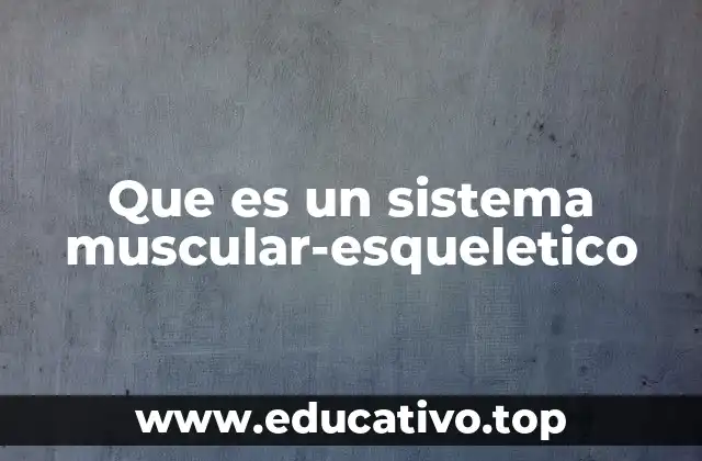 Que es un sistema muscular-esqueletico