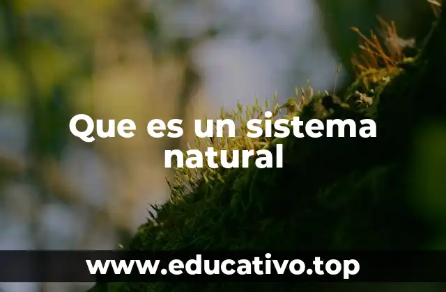 La importancia de los sistemas en la naturaleza