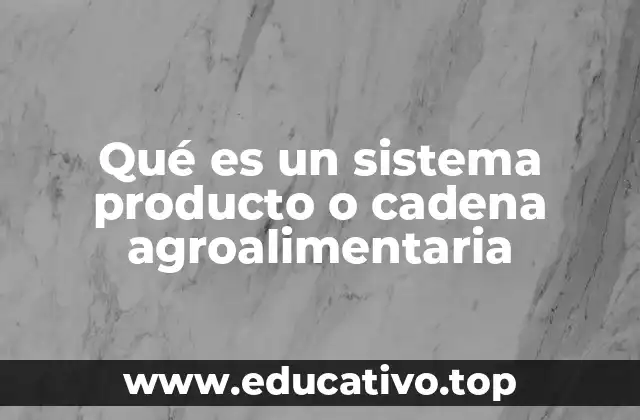 Qué es un sistema producto o cadena agroalimentaria