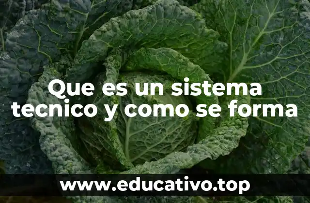 Que es un sistema tecnico y como se forma