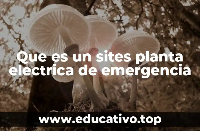 Que es un sites planta electrica de emergencia