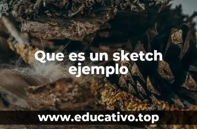 Que es un sketch ejemplo
