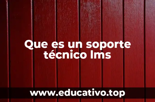 Que es un soporte técnico lms