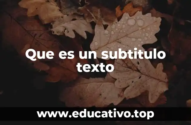 La estructura de los subtítulos en textos profesionales