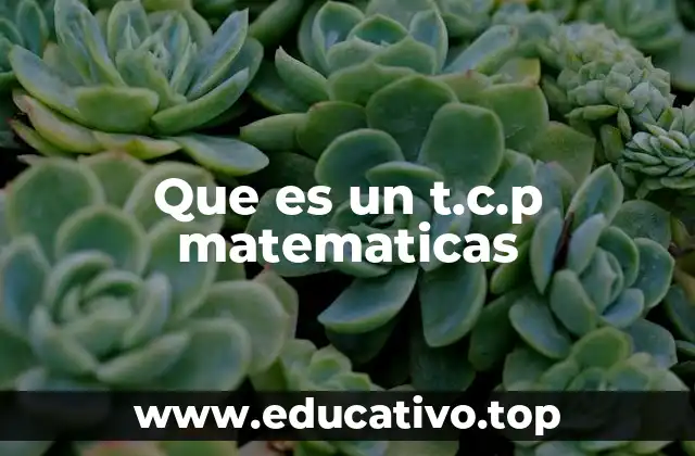 Que es un t.c.p matematicas