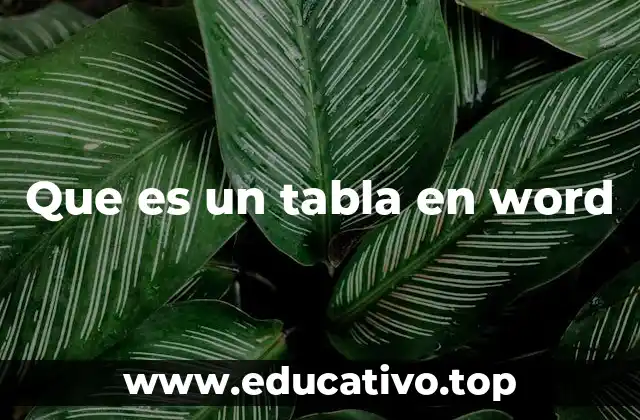 Que es un tabla en word