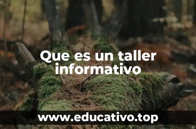 Que es un taller informativo