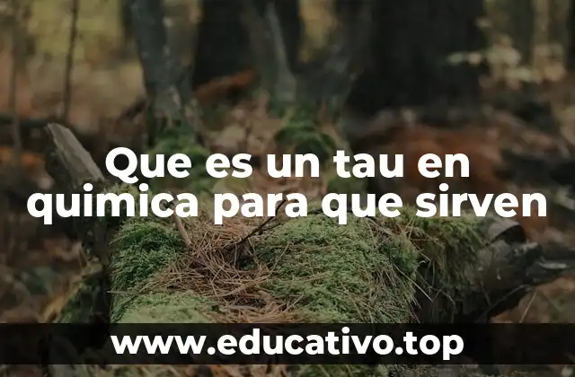 La relación entre partículas leptonicas y la química moderna