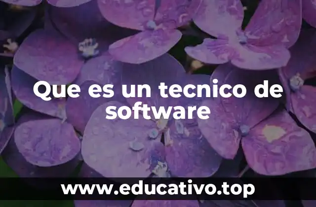 Que es un tecnico de software