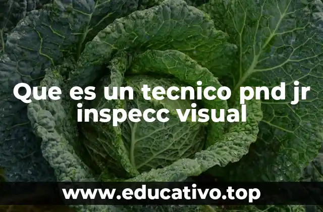 Que es un tecnico pnd jr inspecc visual