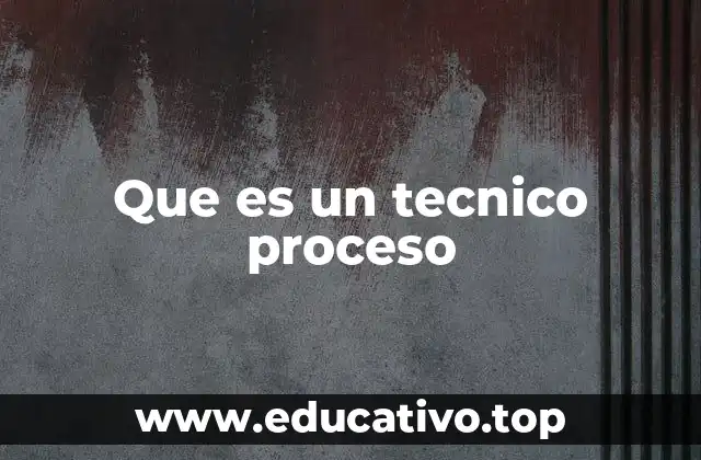 Que es un tecnico proceso