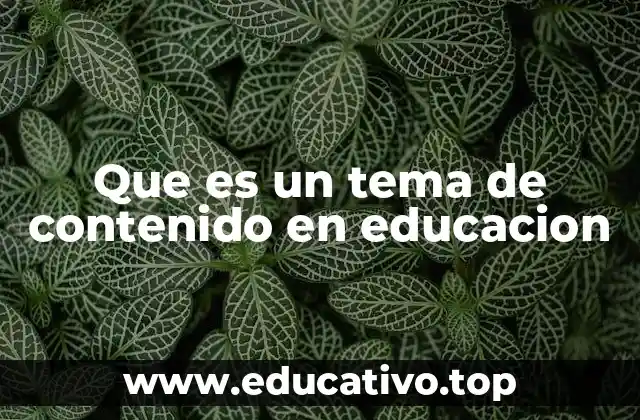 Que es un tema de contenido en educacion