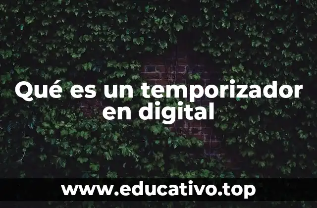 Cómo funcionan los temporizadores digitales sin mencionar la palabra clave