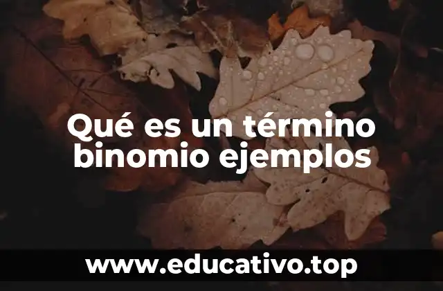 Qué es un término binomio ejemplos