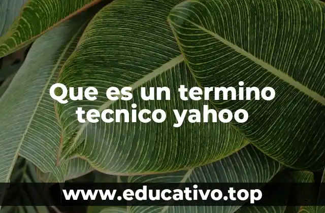 Que es un termino tecnico yahoo