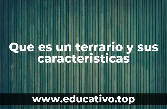 Que es un terrario y sus caracteristicas