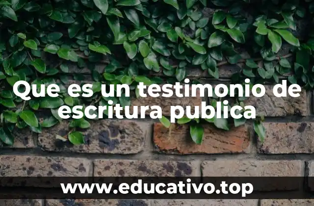Que es un testimonio de escritura publica