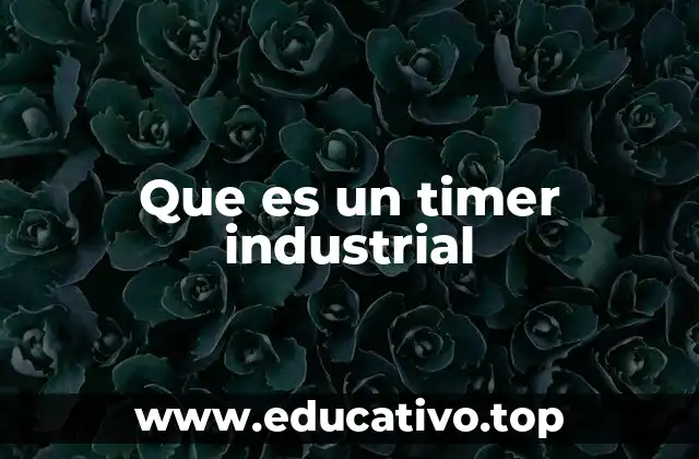 Que es un timer industrial