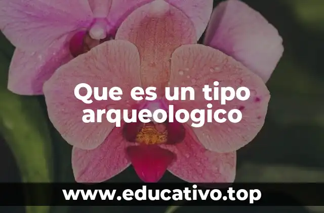 La importancia de los tipos arqueológicos en la investigación