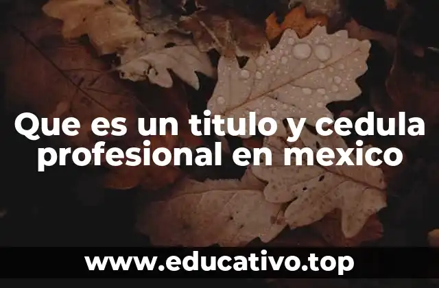 Que es un titulo y cedula profesional en mexico