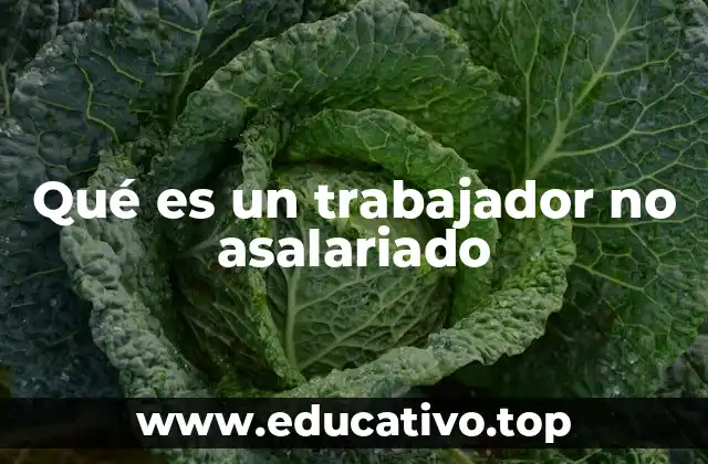 Qué es un trabajador no asalariado