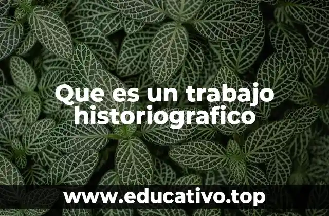 Que es un trabajo historiografico