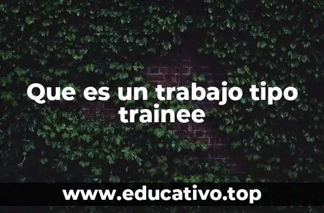 Que es un trabajo tipo trainee