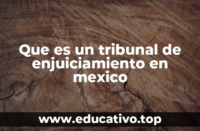 Que es un tribunal de enjuiciamiento en mexico
