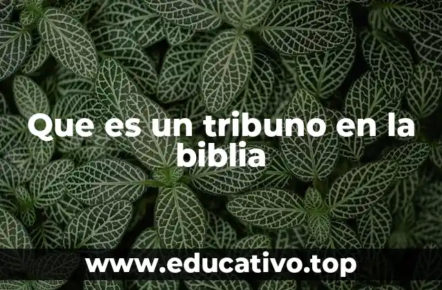 Que es un tribuno en la biblia