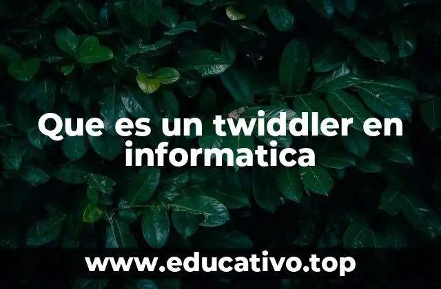 El comportamiento del twiddler en entornos digitales