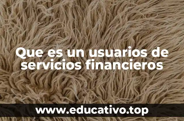 Que es un usuarios de servicios financieros
