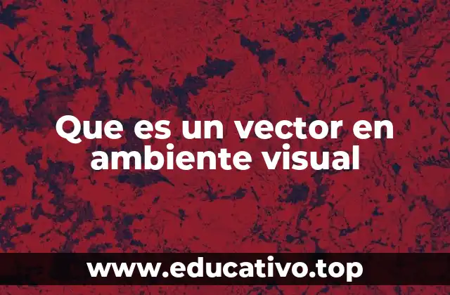 Que es un vector en ambiente visual