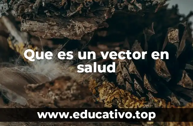 Que es un vector en salud