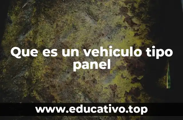 Que es un vehiculo tipo panel