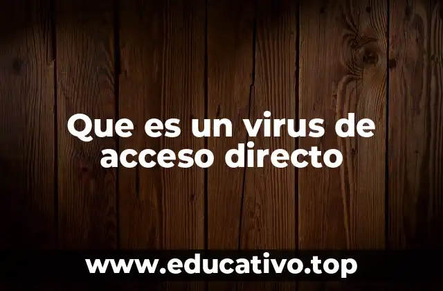 Que es un virus de acceso directo