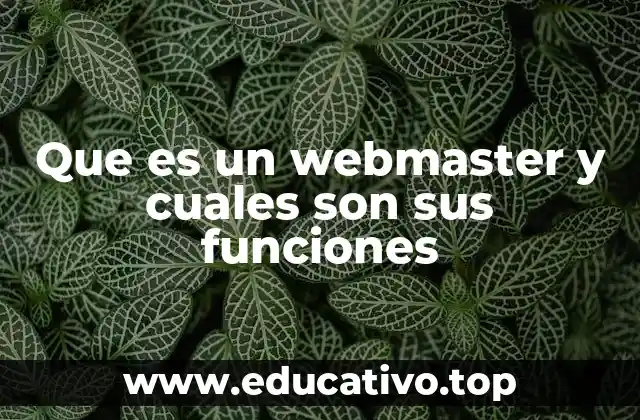 Que es un webmaster y cuales son sus funciones