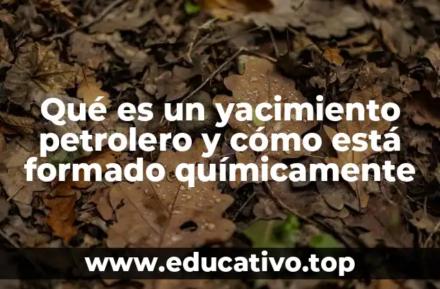 Qué es un yacimiento petrolero y cómo está formado químicamente