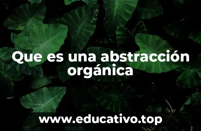Que es una abstracción orgánica