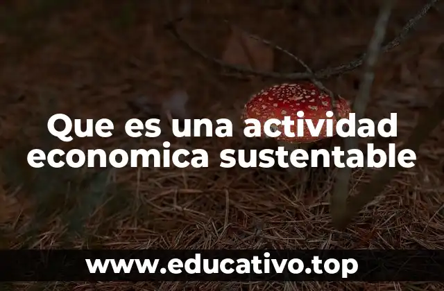 Que es una actividad economica sustentable