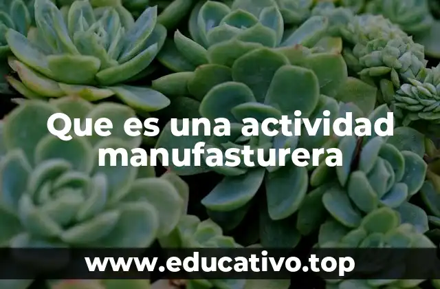 Que es una actividad manufasturera