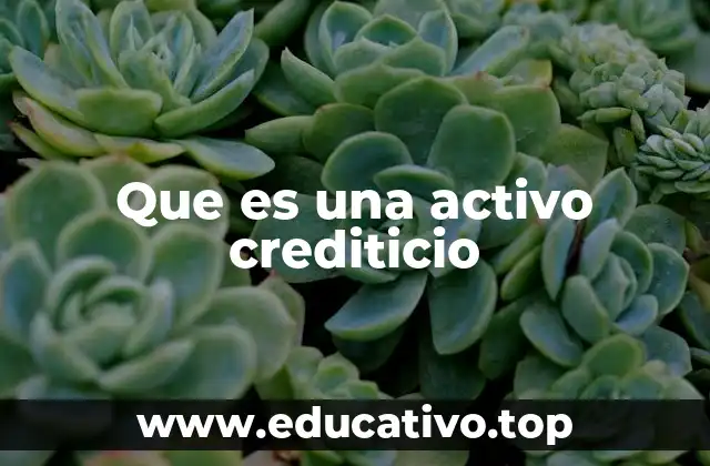 Que es una activo crediticio