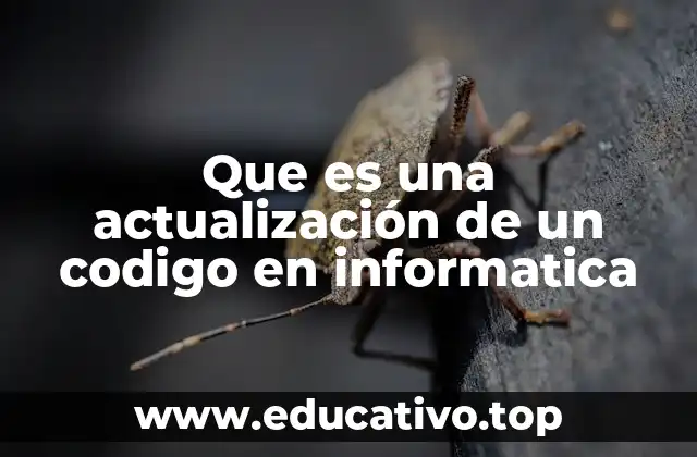 Que es una actualización de un codigo en informatica