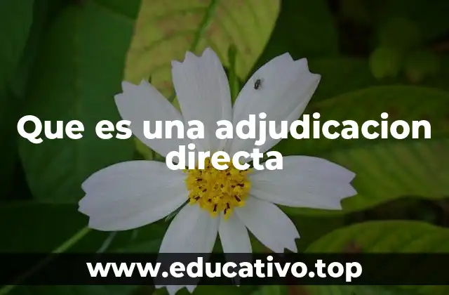 Que es una adjudicacion directa