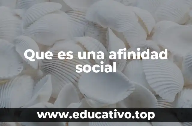 Que es una afinidad social