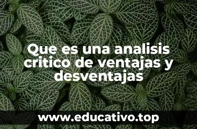 Que es una analisis critico de ventajas y desventajas