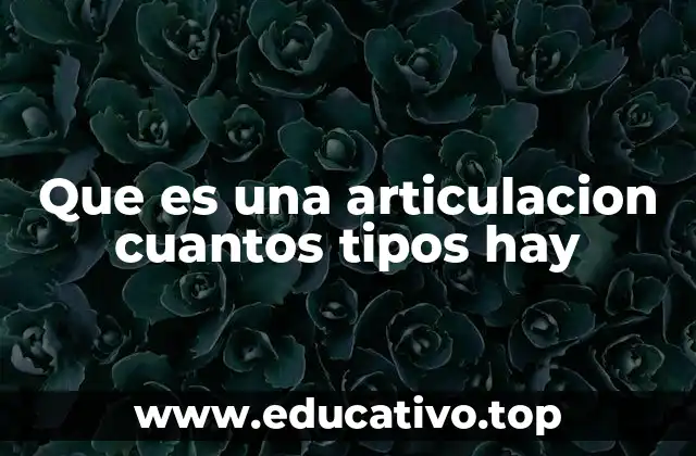 Que es una articulacion cuantos tipos hay