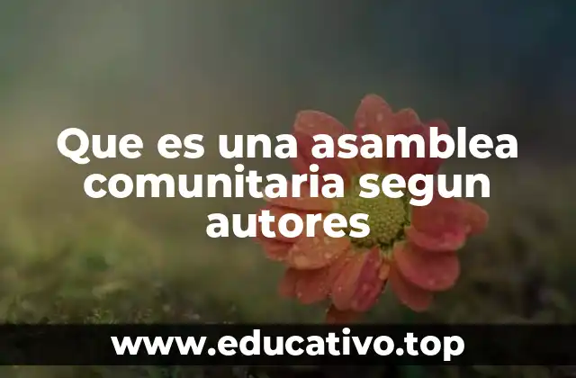 Que es una asamblea comunitaria segun autores