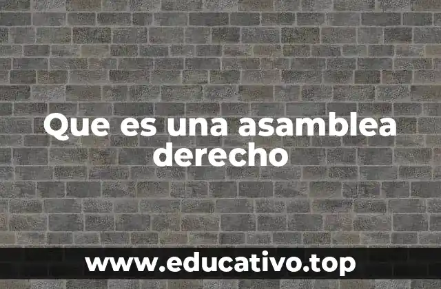 Que es una asamblea derecho