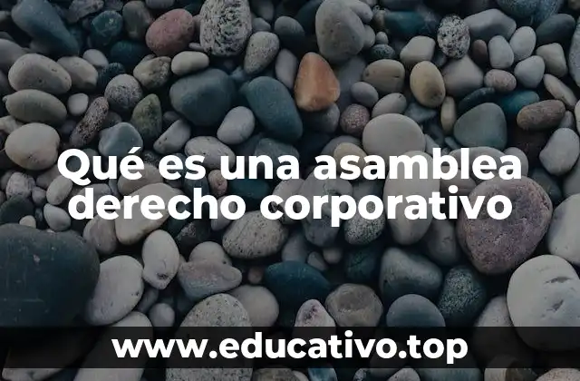 Qué es una asamblea derecho corporativo