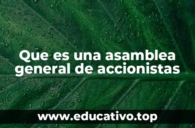 Que es una asamblea general de accionistas